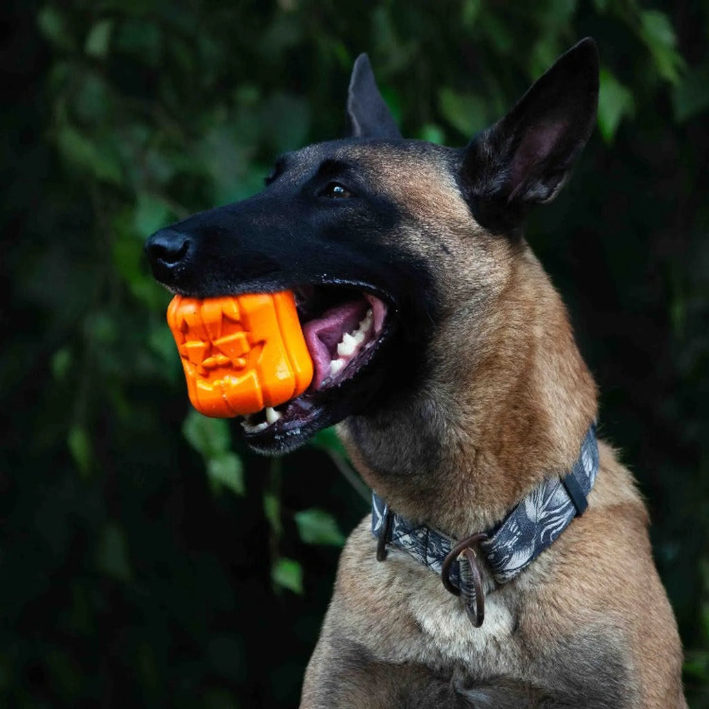 Jack O' Lantern Dog Toy - Durable Halloween Chew Toy for Large Dogs