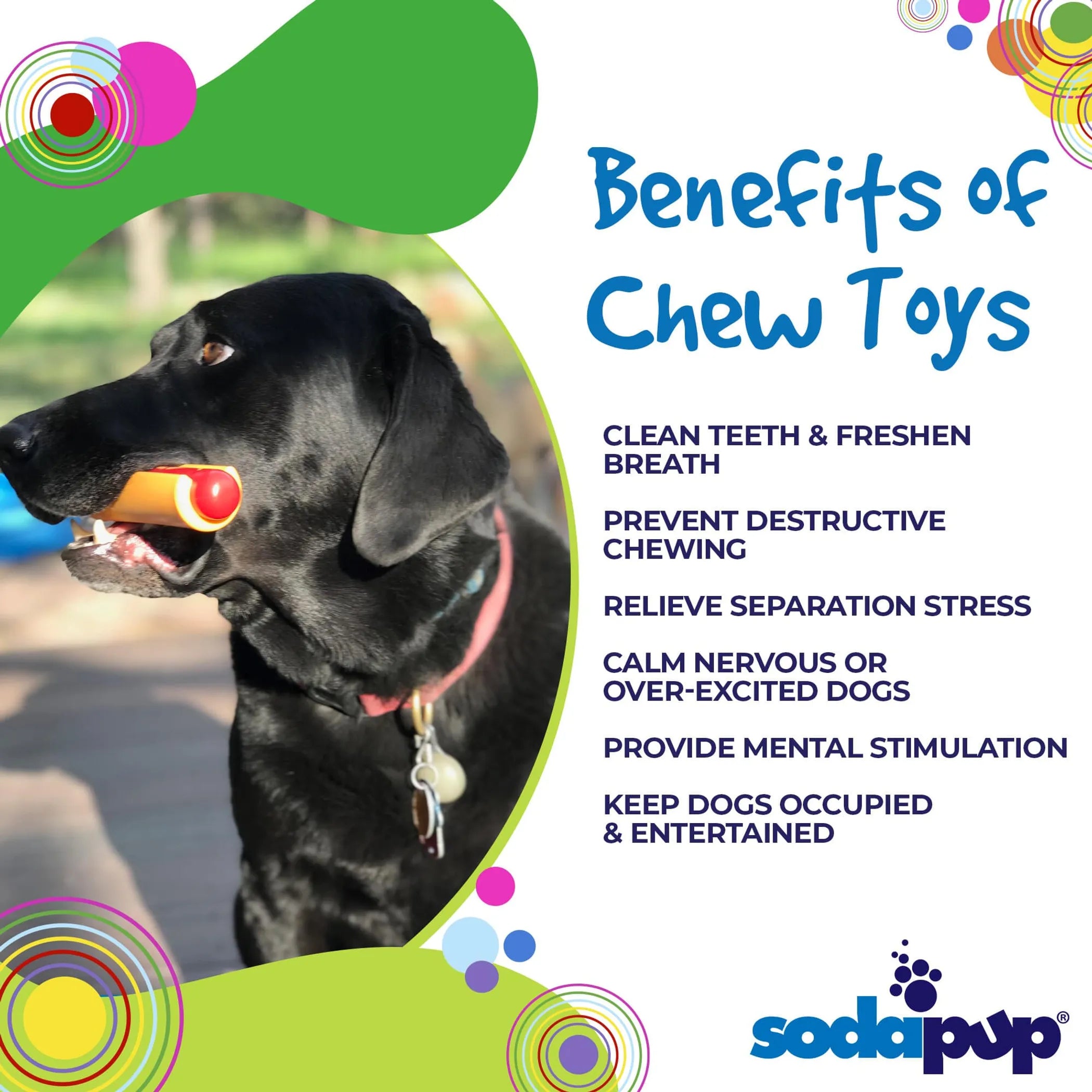 Hot Dog Nylon Dog Toy for Aggressive Chewers