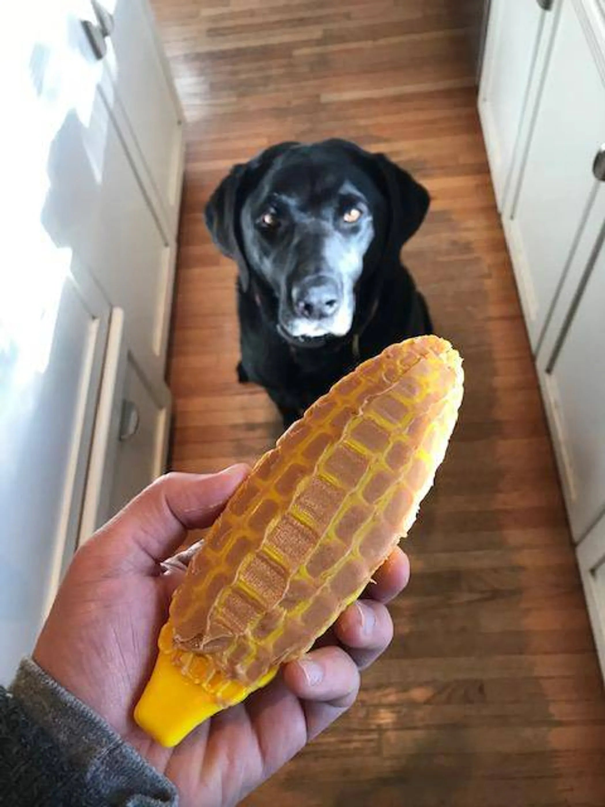 Corn on the Cob Nylon Dog Toy for Aggressive Chewers